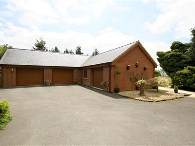 Picture 26